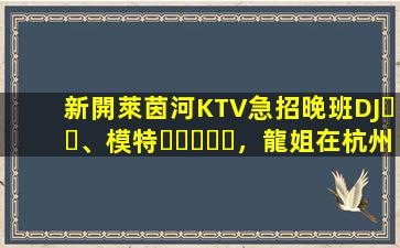 新開萊茵河KTV急招晚班DJ、模特，龍姐在杭州帶你上班